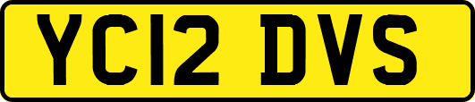 YC12DVS