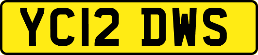 YC12DWS