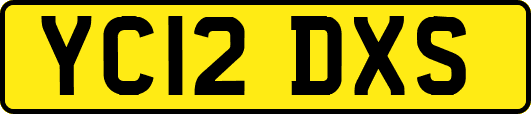 YC12DXS