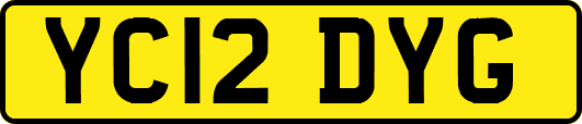 YC12DYG