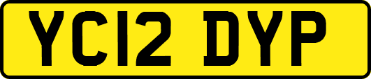 YC12DYP