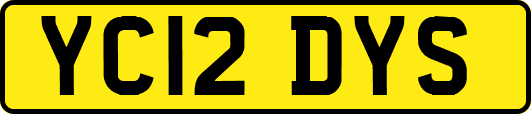 YC12DYS