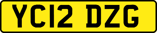 YC12DZG
