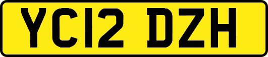YC12DZH
