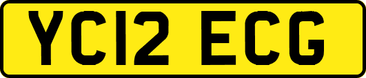 YC12ECG