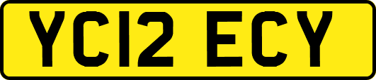 YC12ECY