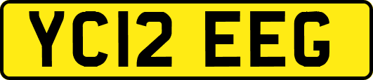 YC12EEG