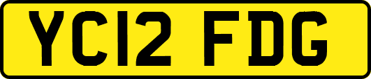 YC12FDG