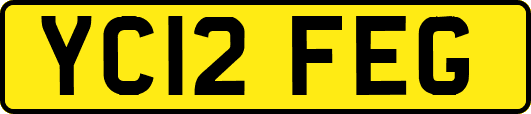 YC12FEG