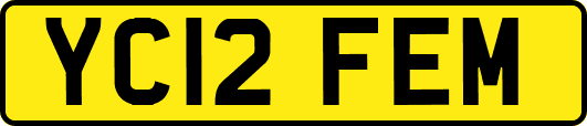 YC12FEM