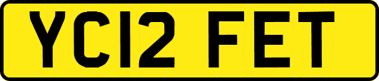 YC12FET