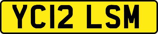 YC12LSM