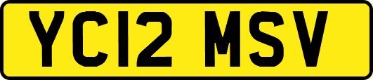 YC12MSV