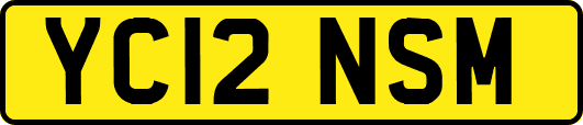 YC12NSM