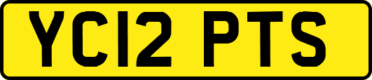 YC12PTS