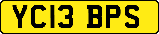 YC13BPS