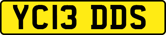YC13DDS