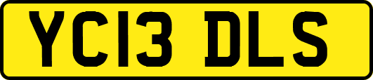 YC13DLS