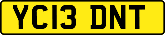 YC13DNT