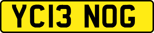 YC13NOG