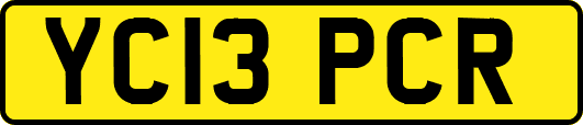 YC13PCR