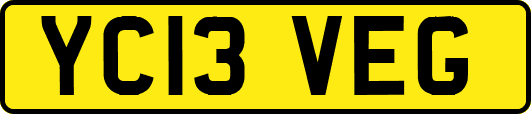 YC13VEG