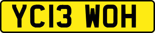 YC13WOH