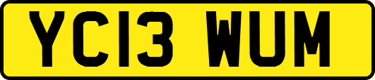 YC13WUM