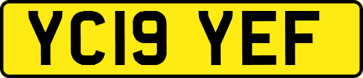 YC19YEF