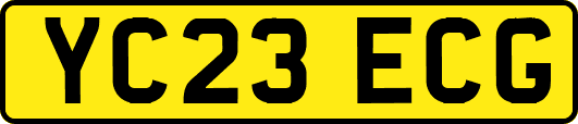 YC23ECG