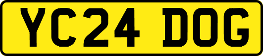 YC24DOG