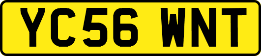 YC56WNT