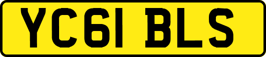 YC61BLS