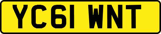 YC61WNT