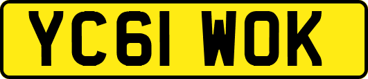 YC61WOK