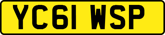 YC61WSP