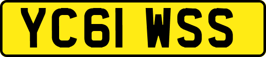 YC61WSS