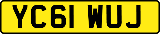 YC61WUJ