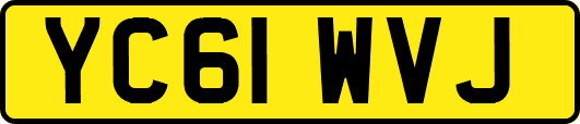 YC61WVJ