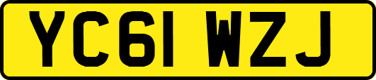 YC61WZJ