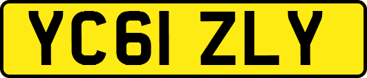 YC61ZLY