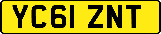 YC61ZNT