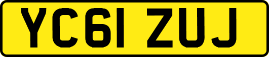YC61ZUJ