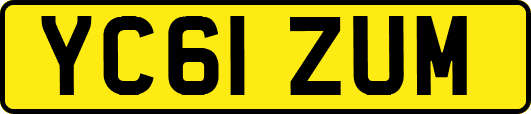 YC61ZUM