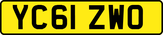 YC61ZWO