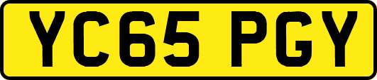 YC65PGY