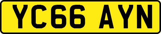 YC66AYN