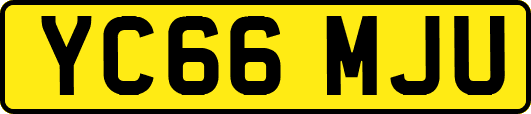 YC66MJU