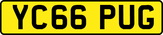 YC66PUG