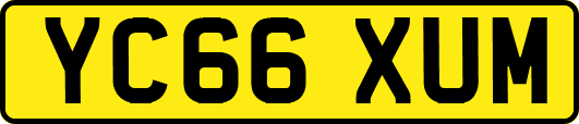 YC66XUM